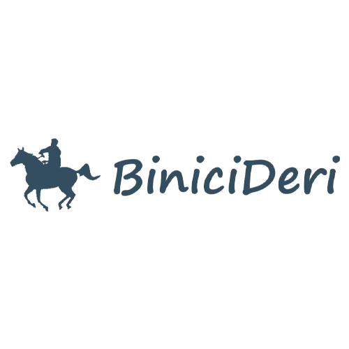 BiniciDeri